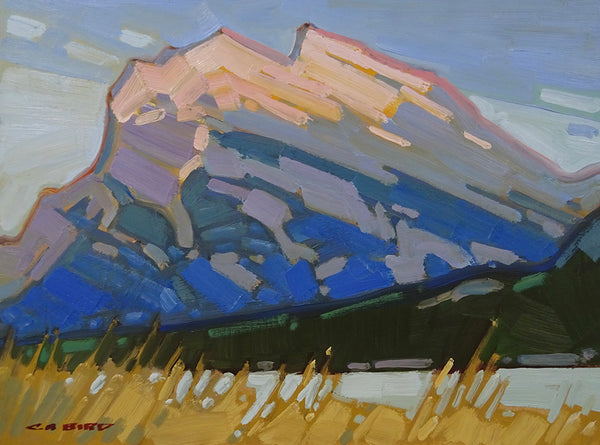 Cameron Bird artwork 'WHEN THE ROCKIES TURN ROSE' at Canada House Gallery