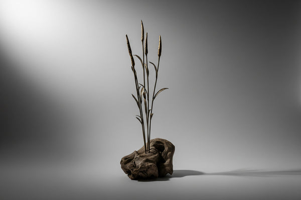 WALK IN FIELDS OF GOLD