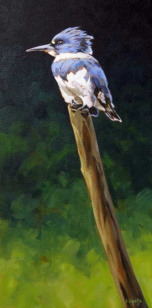 Susie Cipolla artwork 'KING FISHER ON A PERCH' at Canada House Gallery