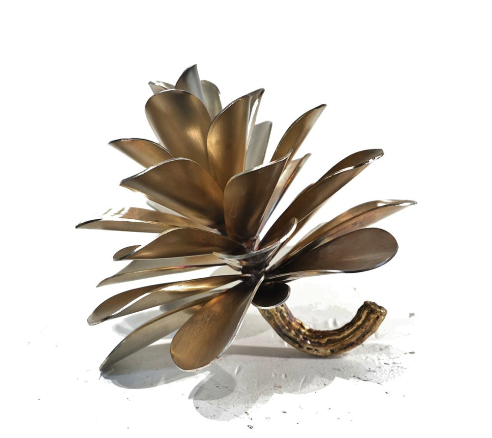 Floyd Elzinga artwork 'PINE CONE 25-455' at Canada House Gallery