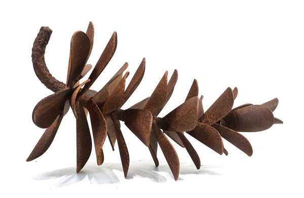 Floyd Elzinga artwork 'PINE CONE 24-585' at Canada House Gallery