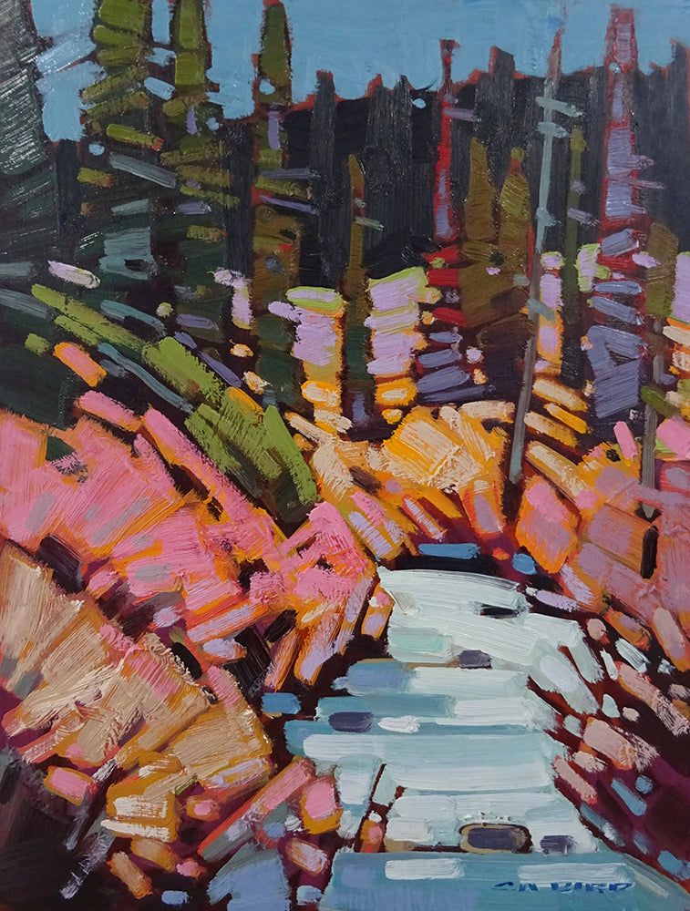 Cameron Bird artwork 'WILLIAMS CREEK BARKERVILLE BC' at Canada House Gallery