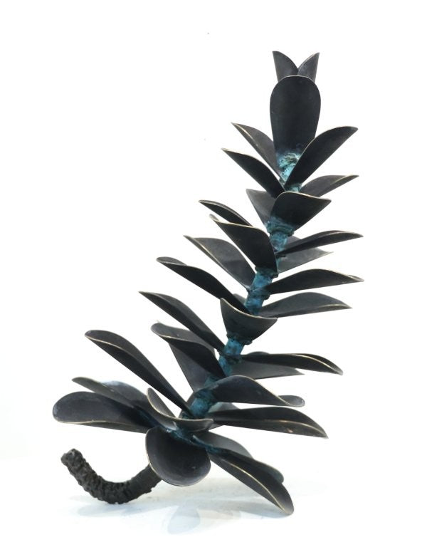 Floyd Elzinga artwork 'PINE CONE #25-196' at Canada House Gallery