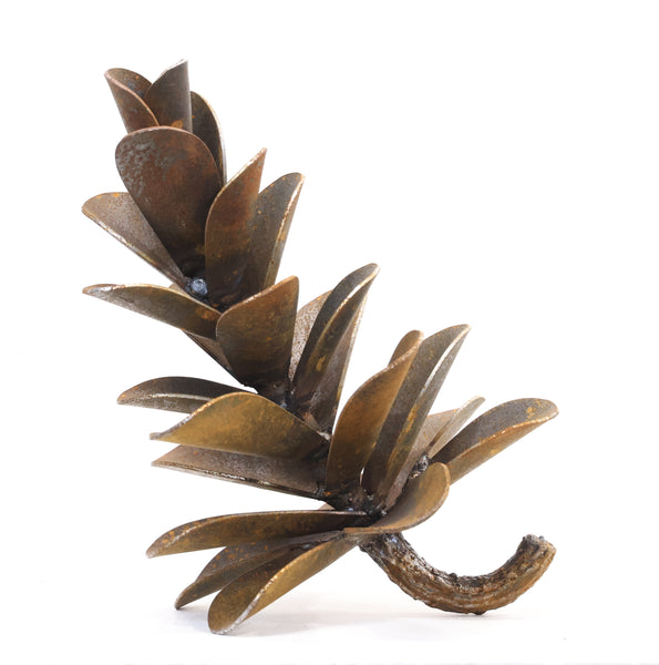 Floyd Elzinga artwork 'PINE CONE #26-012' at Canada House Gallery