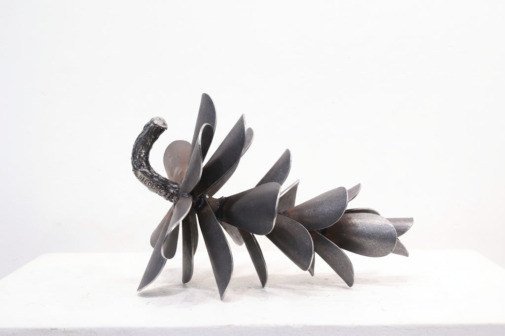 Floyd Elzinga artwork 'PINE CONE #26-093' at Canada House Gallery
