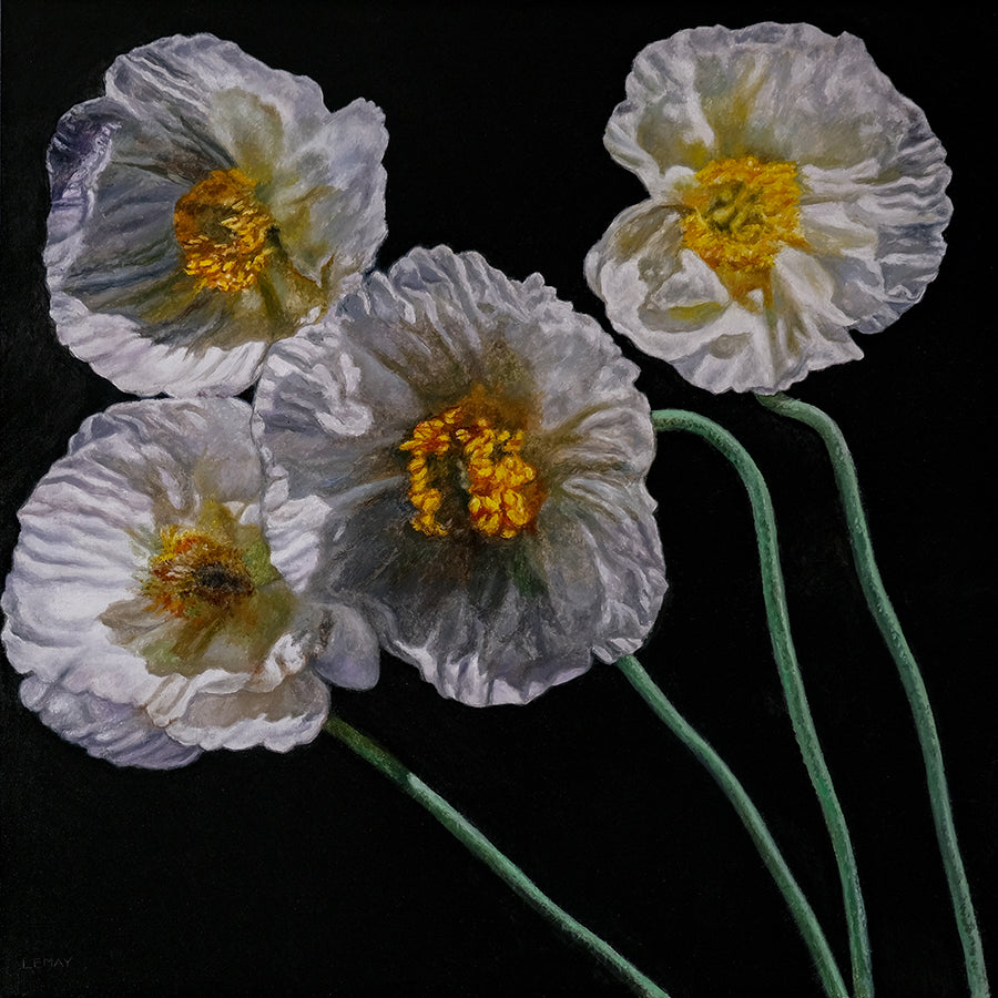 Robert Lemay artwork 'WHITE POPPIES' at Canada House Gallery
