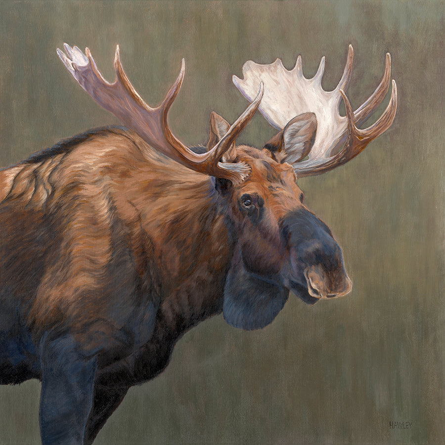 Heather Hawley artwork 'STEADFAST' at Canada House Gallery