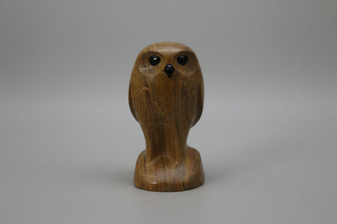 BURROWING OWL