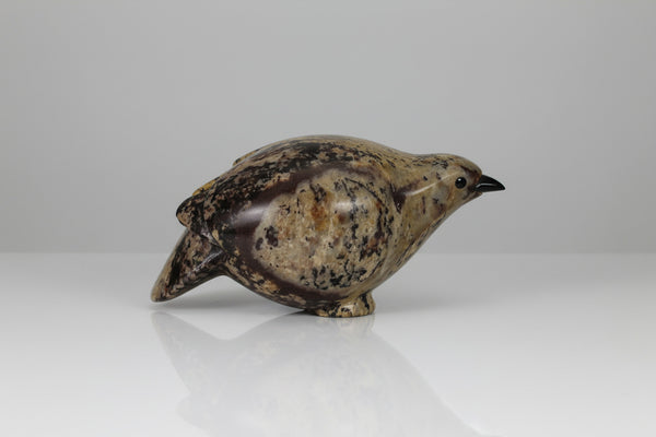 David Riome artwork 'SPRUCE GROUSE' at Canada House Gallery