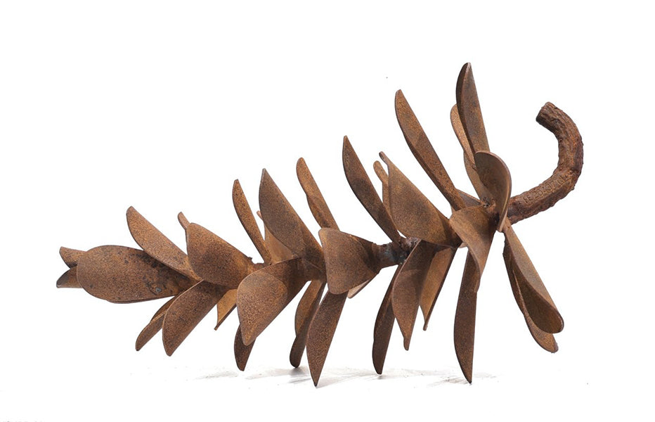 Floyd Elzinga artwork 'PINE CONE #25-437' at Canada House Gallery