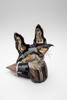 CONVERSATIONAL FOX 1