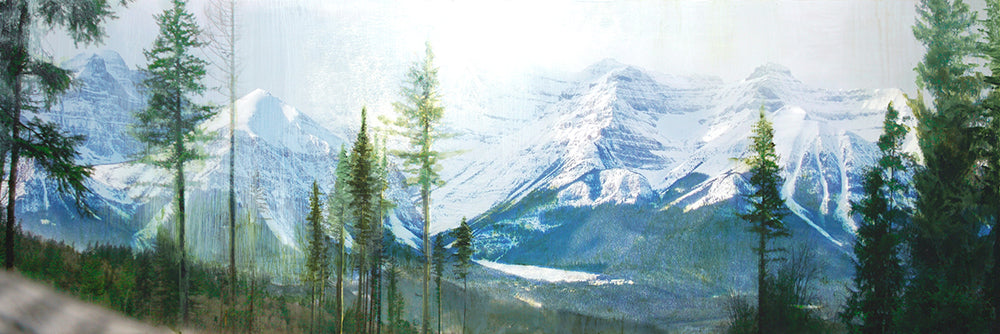 Steven Nederveen artwork 'MOUNTAIN LIFE' at Canada House Gallery