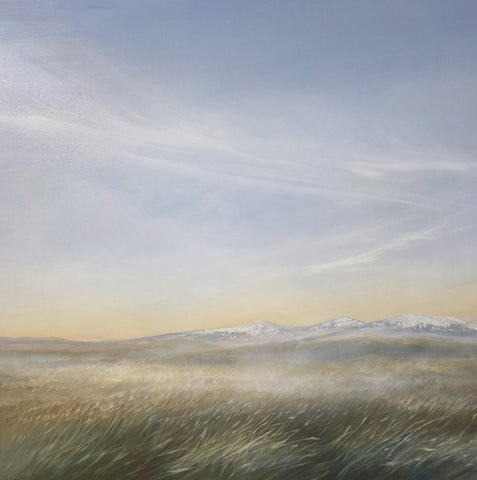 MORNING LIGHT
