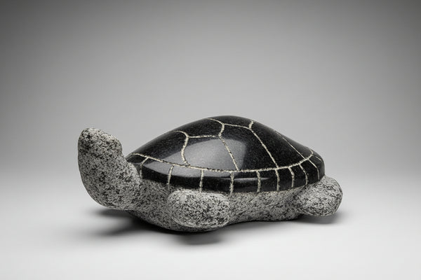 Stewart Steinhauer artwork 'WELCOME TO TURTLE ISLAND' at Canada House Gallery