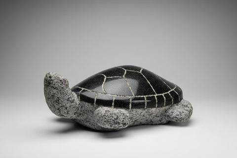 WELCOME TO TURTLE ISLAND