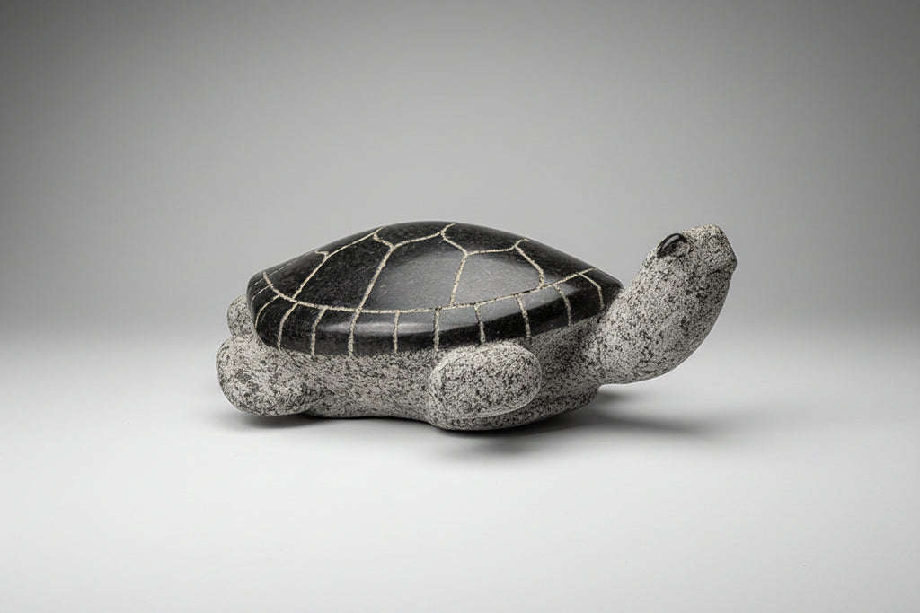 Stewart Steinhauer artwork 'WELCOME TO TURTLE ISLAND' at Canada House Gallery