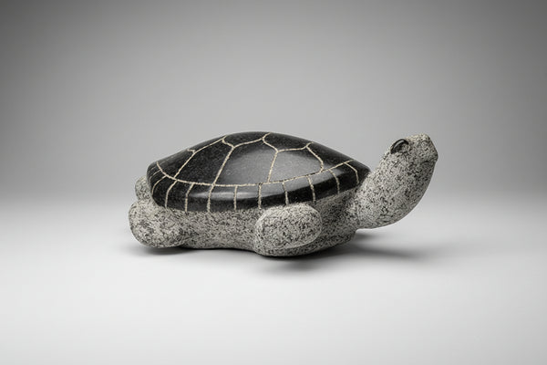 Stewart Steinhauer artwork 'WELCOME TO TURTLE ISLAND' at Canada House Gallery