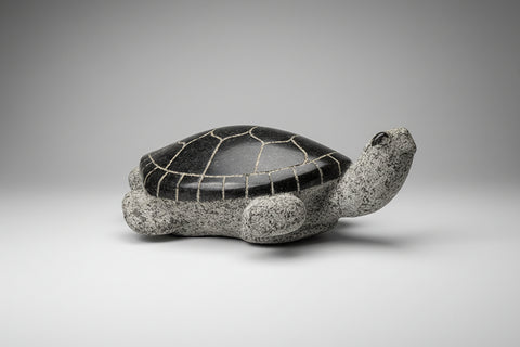 WELCOME TO TURTLE ISLAND