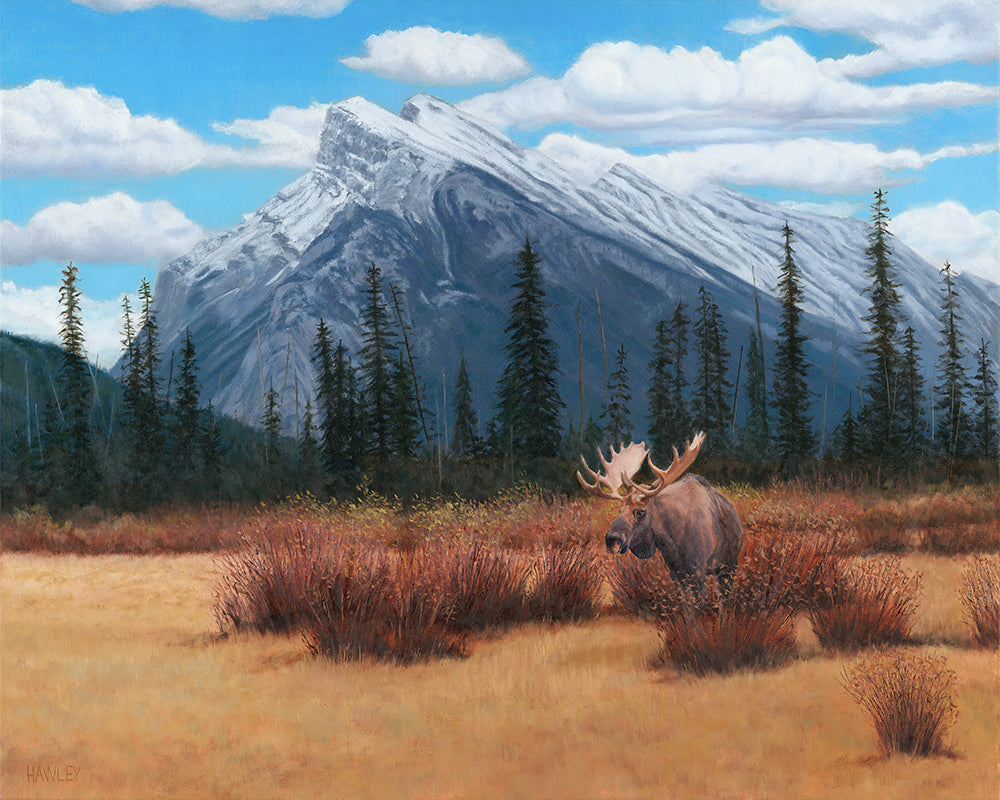 Heather Hawley artwork 'BANFF BEAUTY' at Canada House Gallery