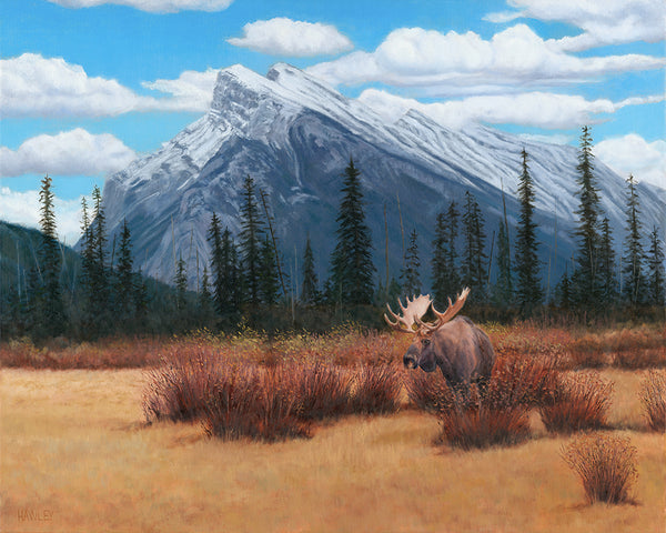 Heather Hawley artwork 'BANFF BEAUTY' at Canada House Gallery