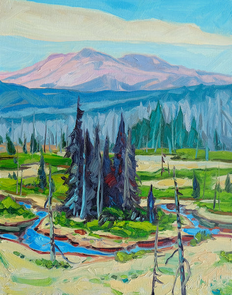 Dominik J Modlinski artwork 'TWEEDSMUIR COUNTRY' at Canada House Gallery