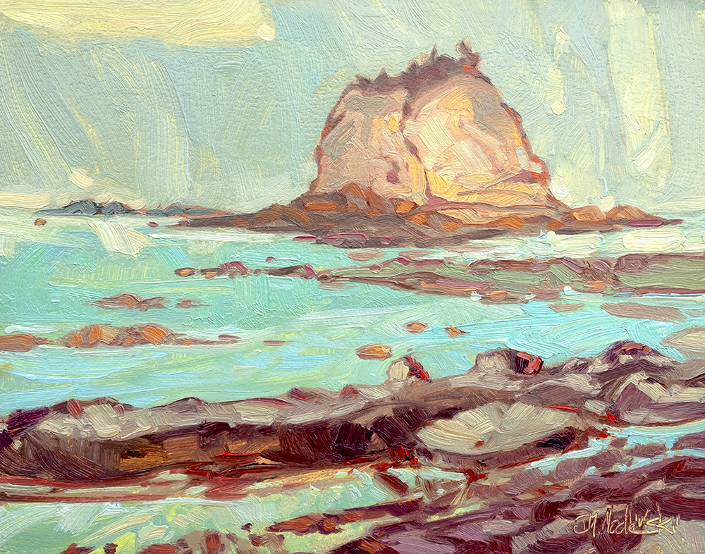 Dominik J Modlinski artwork 'COASTAL MORNING' at Canada House Gallery