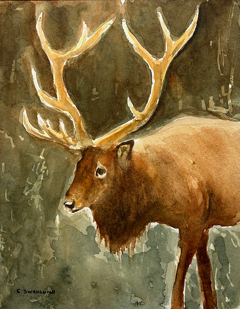 Cliff Swanlund artwork 'MAJESTIC ENCOUNTER' at Canada House Gallery