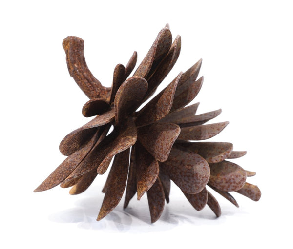 Floyd Elzinga artwork 'PINE CONE #25-573' at Canada House Gallery