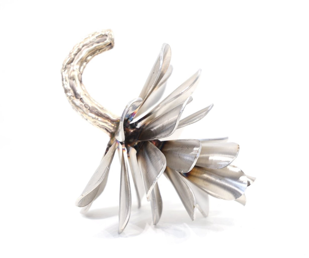 Floyd Elzinga artwork 'PINE CONE #26-316' at Canada House Gallery