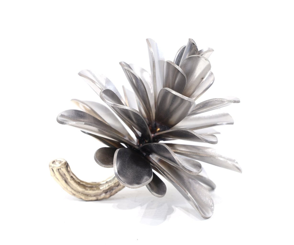 Floyd Elzinga artwork 'PINE CONE #26-318' at Canada House Gallery