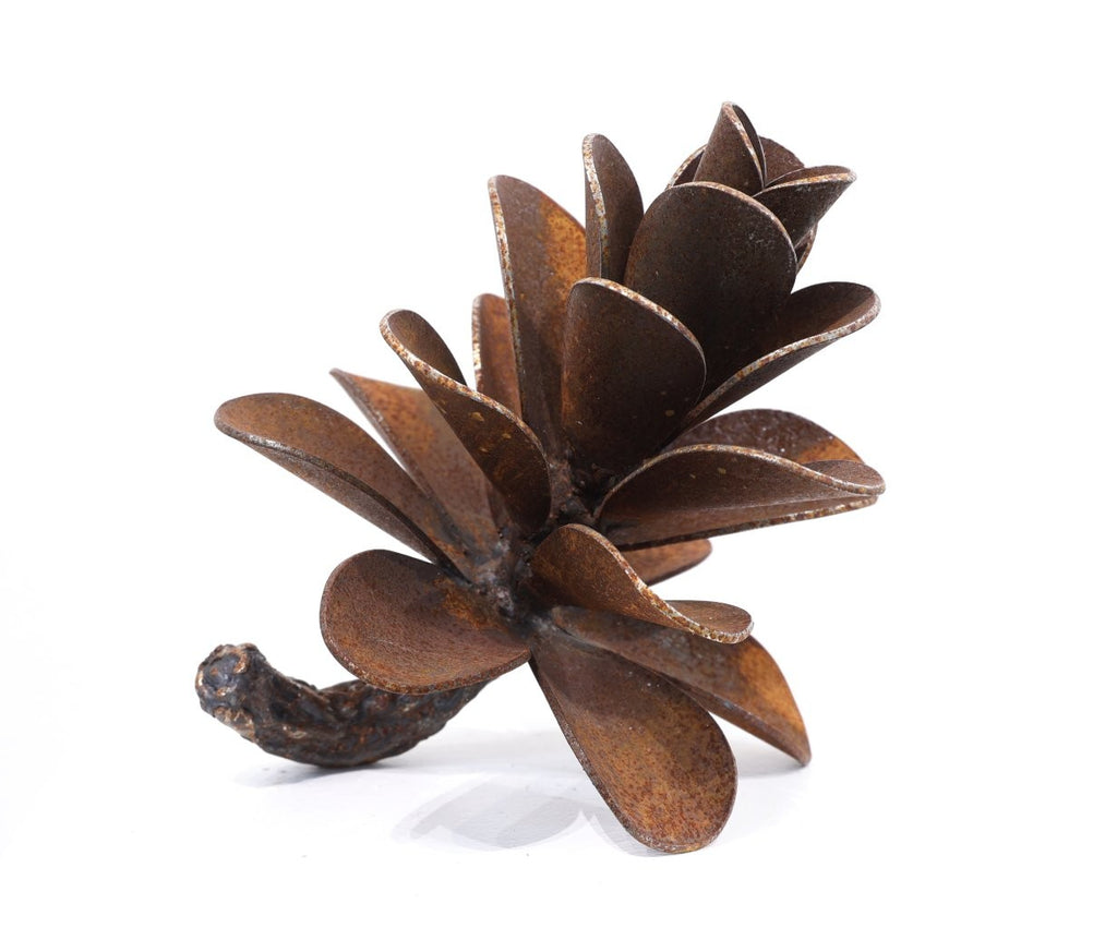 Floyd Elzinga artwork 'PINE CONE #26-176' at Canada House Gallery