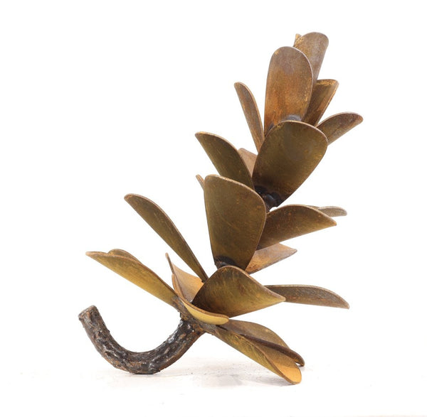 Floyd Elzinga artwork 'PINE CONE #26-308' at Canada House Gallery