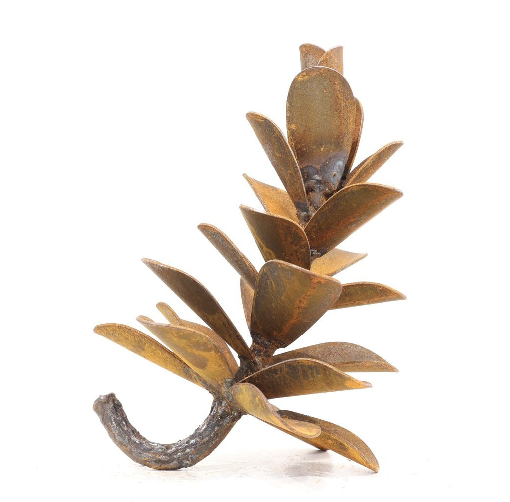 Floyd Elzinga artwork 'PINE CONE #26-309' at Canada House Gallery