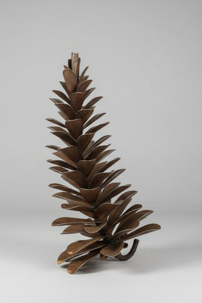 Floyd Elzinga artwork 'PINE CONE #26-324' at Canada House Gallery