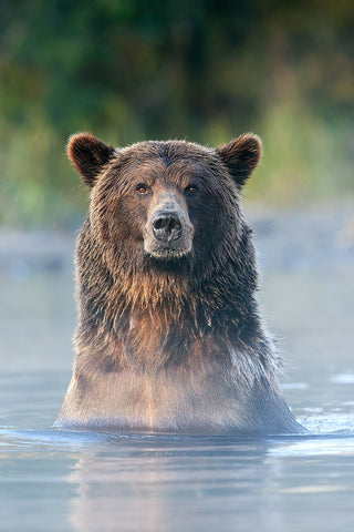 SPA DAY IN THE WILD 1/3