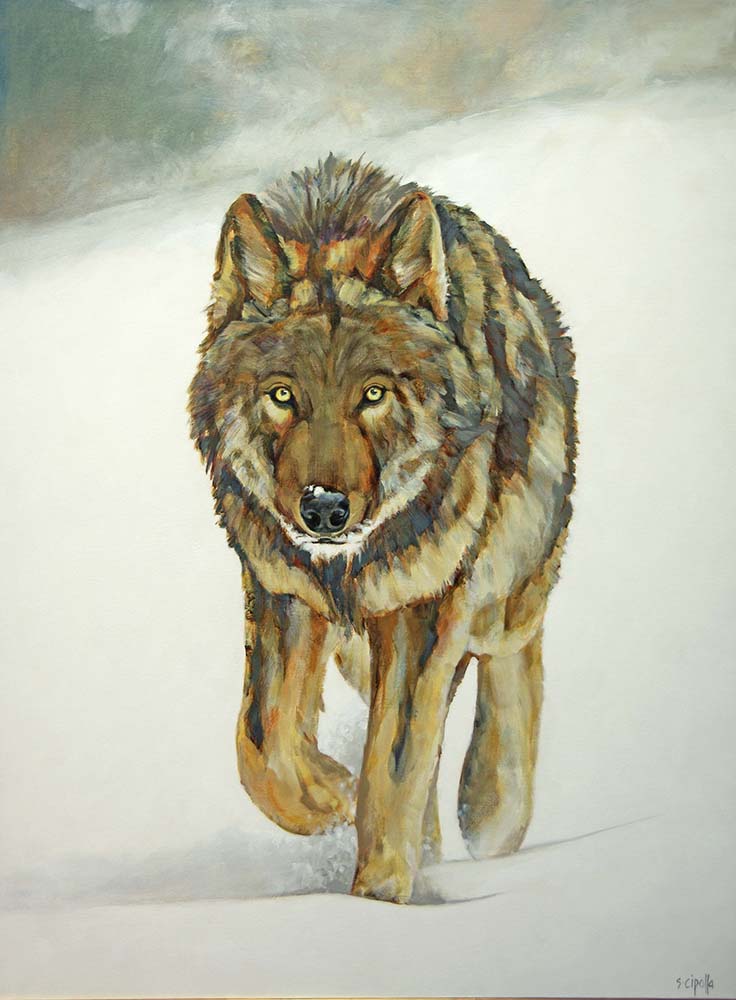 Susie Cipolla artwork 'JENNY' at Canada House Gallery