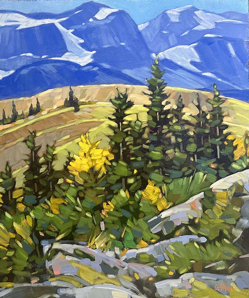 Graeme Shaw artwork 'FOOTHILS COUNTRY' at Canada House Gallery