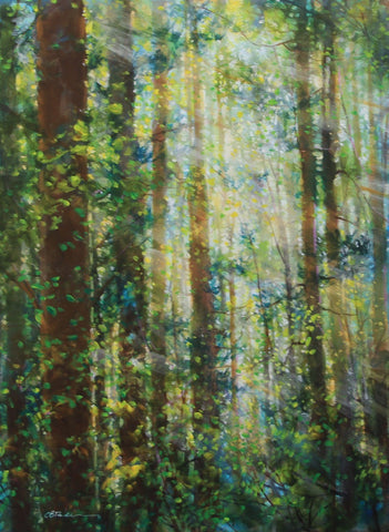 FOREST LIGHT SERIES: JULY