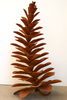 PINE CONE #25-341