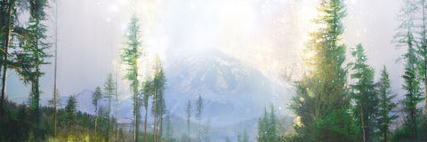 MOUNTAIN GOLD