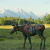 MEADOW