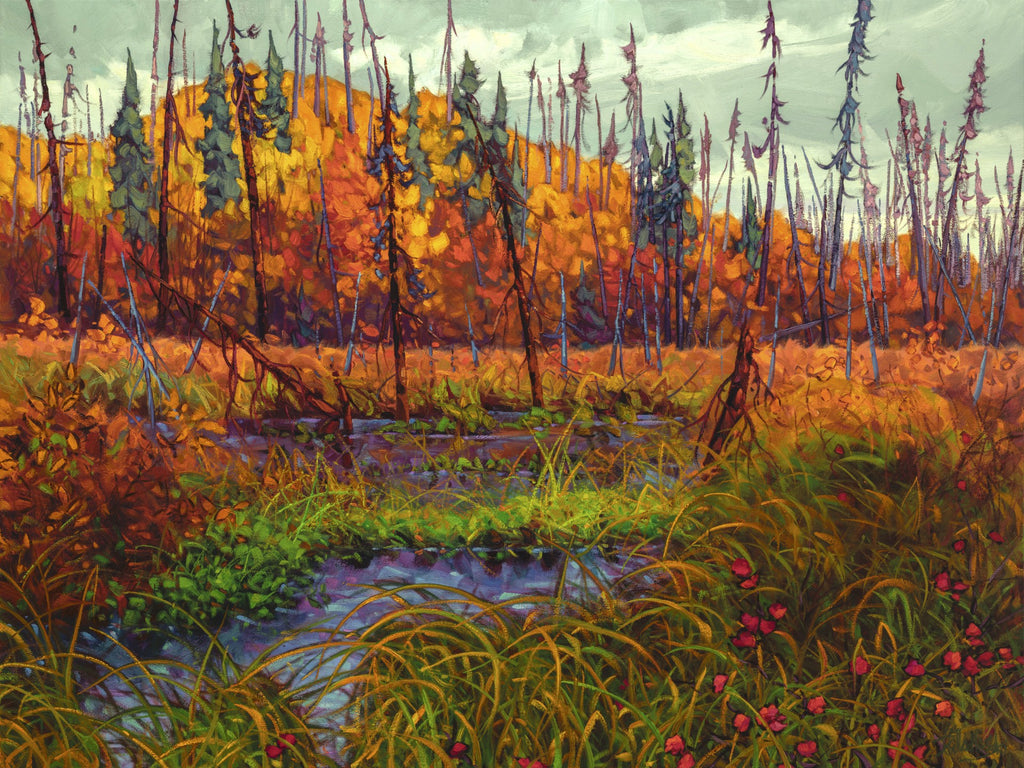 EDGE OF THE BOREAL