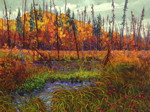 EDGE OF THE BOREAL