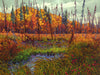 EDGE OF THE BOREAL