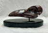 RAVEN SKULL STUDY #2