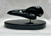 RAVEN SKULL STUDY #4