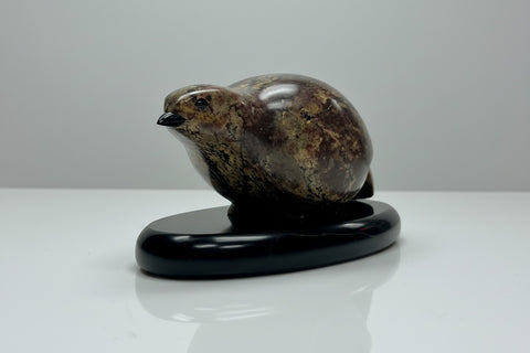 SPRUCE GROUSE