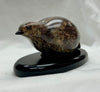 SPRUCE GROUSE