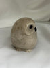 SNOWY OWL