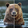 GOOD FUR DAY DIPTYCH